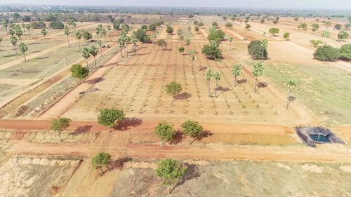  my-city-go-ranch Construction Status June-25