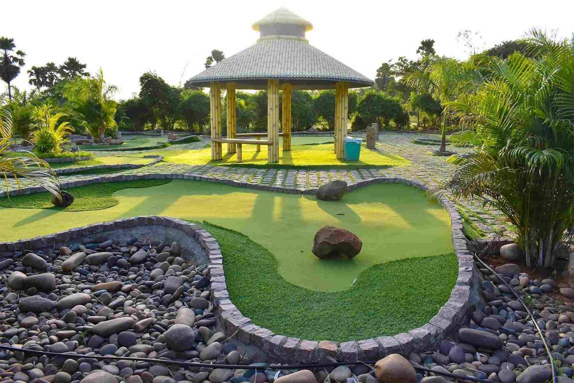  my city go ranch Landscape Garden and Tree Planting