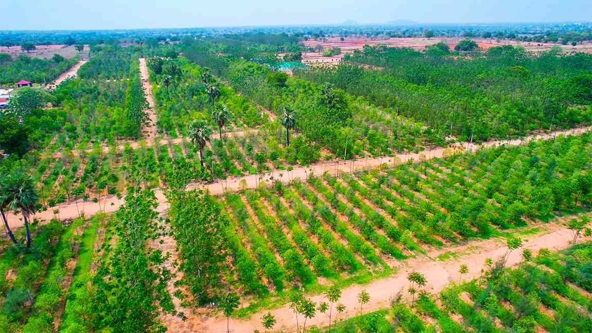  my city go ranch Others