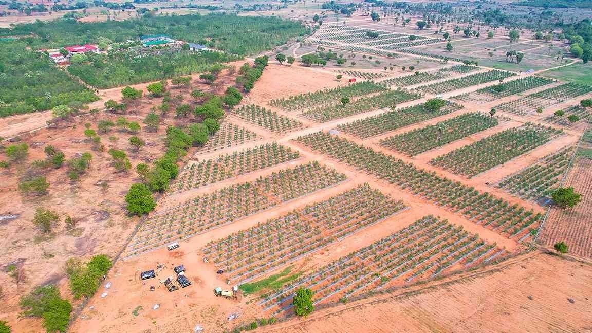  my city go ranch Others