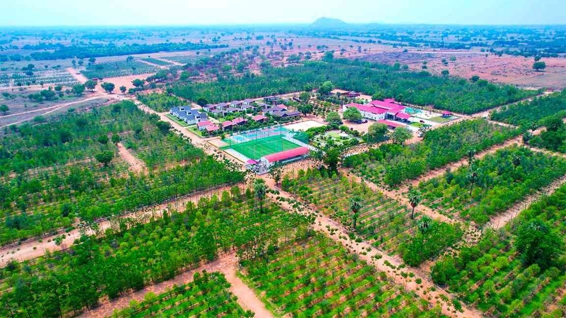  my city go ranch Others