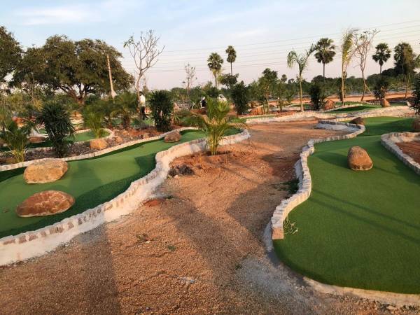  my-city-go-ranch Plot