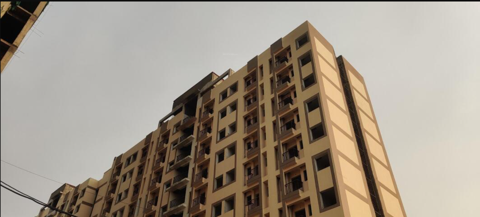 blossom Construction Status March 25