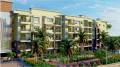 Orion Projects Palm Dew