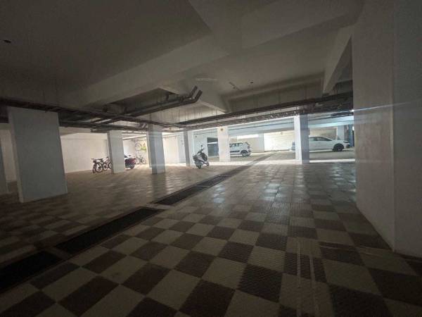  palm-dew Car Parking