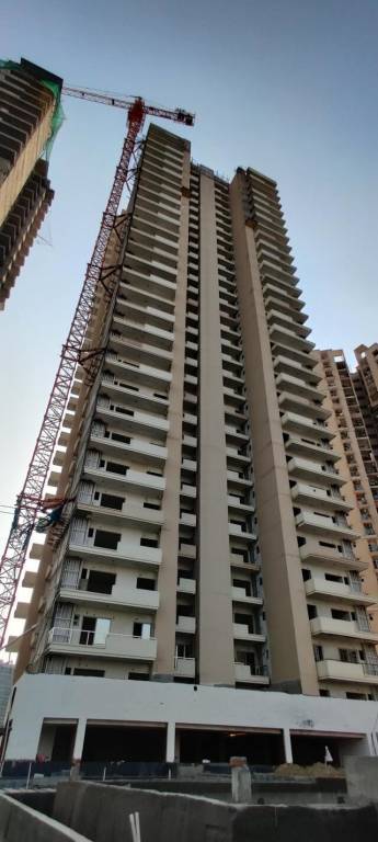 pearls Construction Status Oct 23