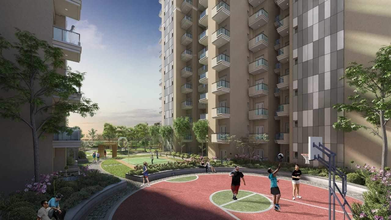 pearls Basketball Court