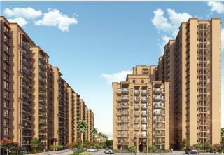 Project Image Project Image