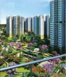  parkwest-mulberry-tower-3 Images for Project