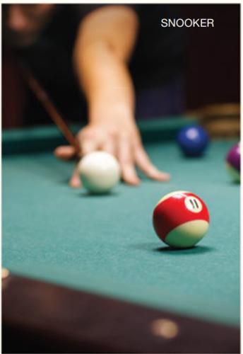  ivana Billiards/Snooker Table