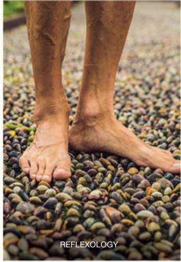  ivana Reflexology Park