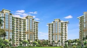  palm select Elevation