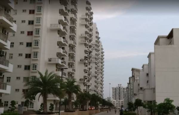 Others palm-select Others