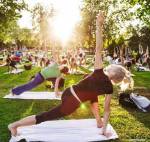 Yoga/Meditation Area  palm-select Yoga/Meditation Area