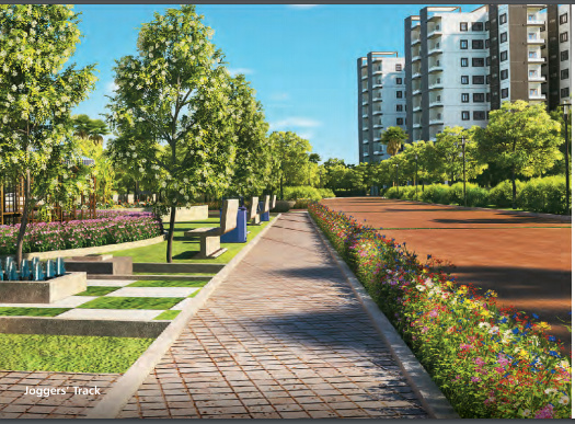  the-greens-maple Others