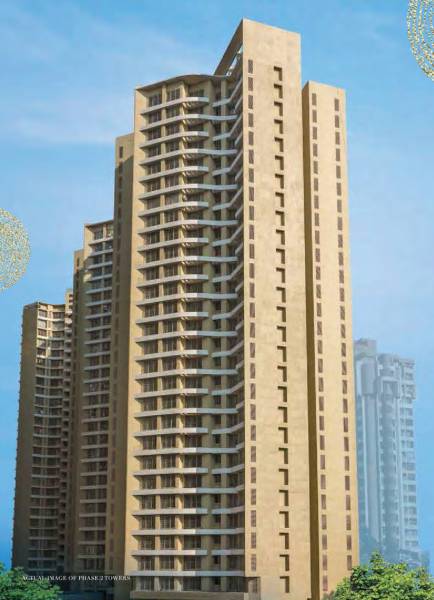  eucalyptia Elevation