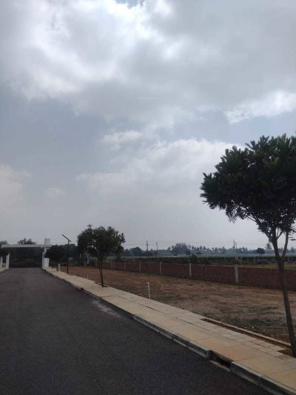 Elevation amogh anagha nivasayati Elevation