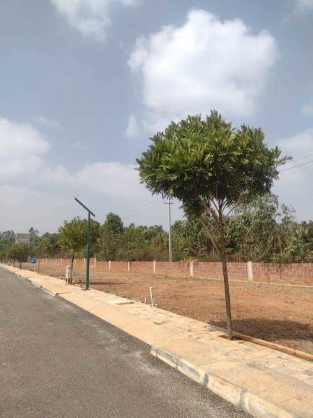  amogh-anagha-nivasayati Plot