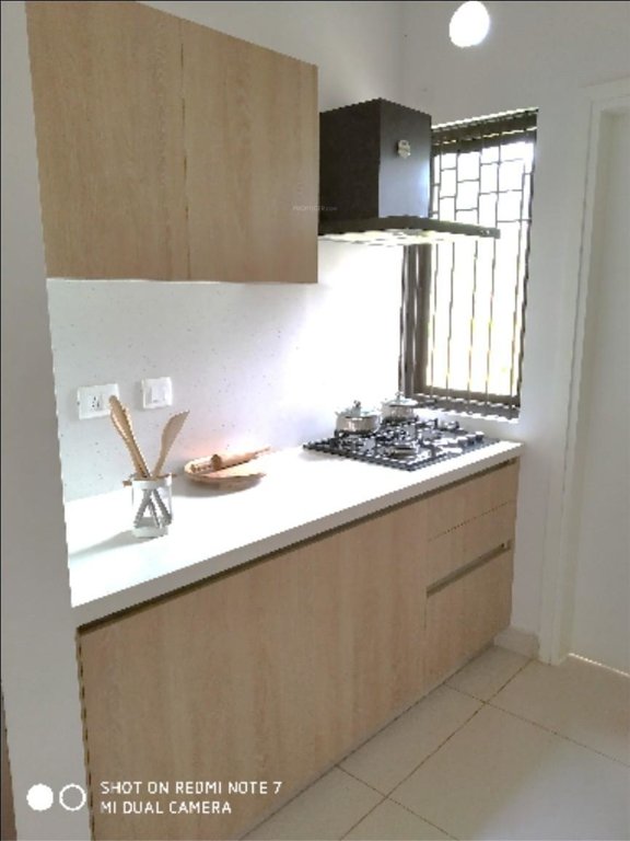 Images for mainOther