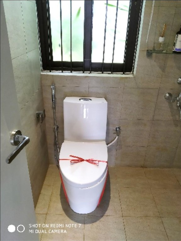 Images for mainOther