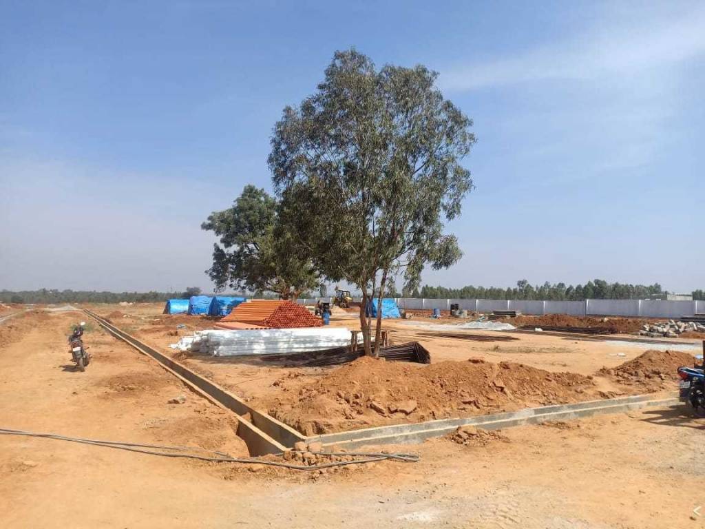 Images for mainOther