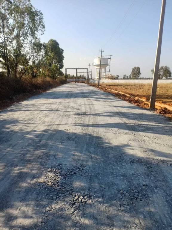 Images for mainOther