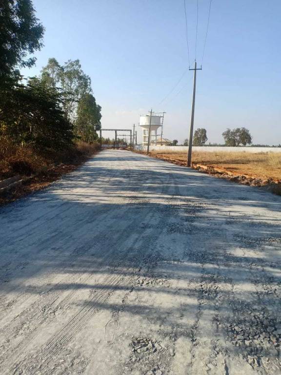 Images for mainOther