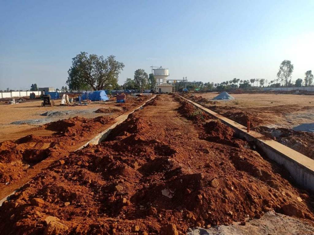 Images for mainOther