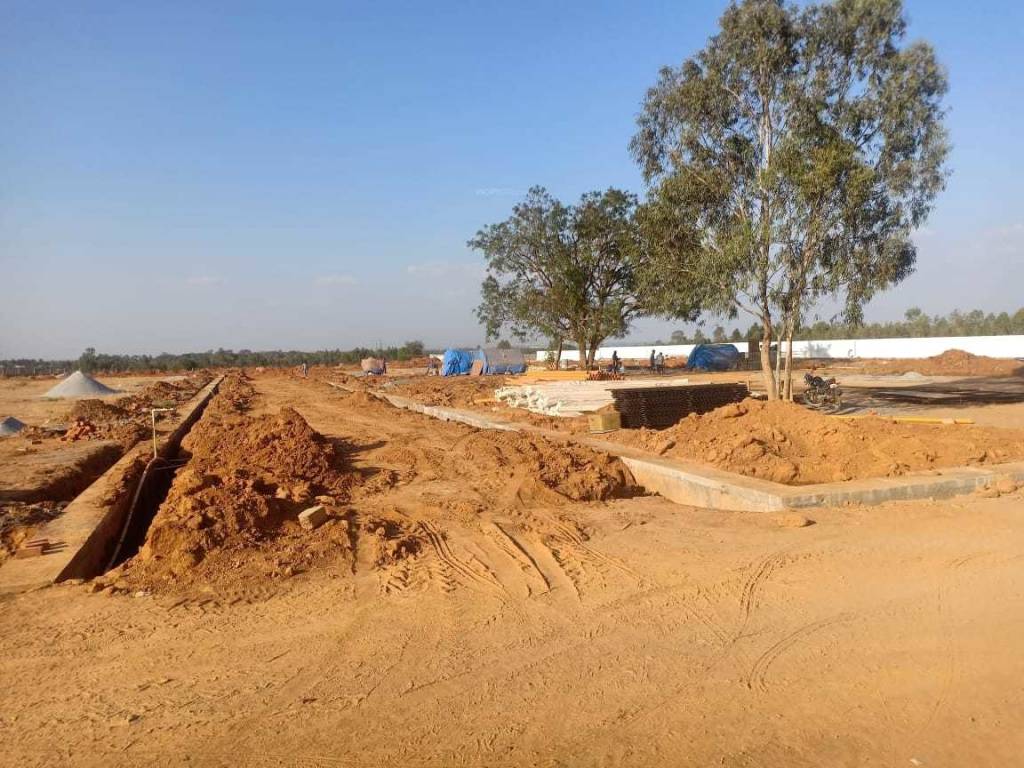 Images for mainOther