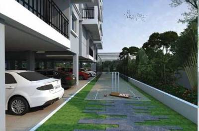  pinnacle Cricket Pitch