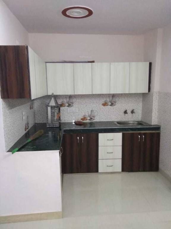 Images for mainOther