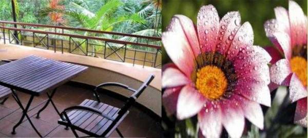 Balcony ghar-aangan Balcony