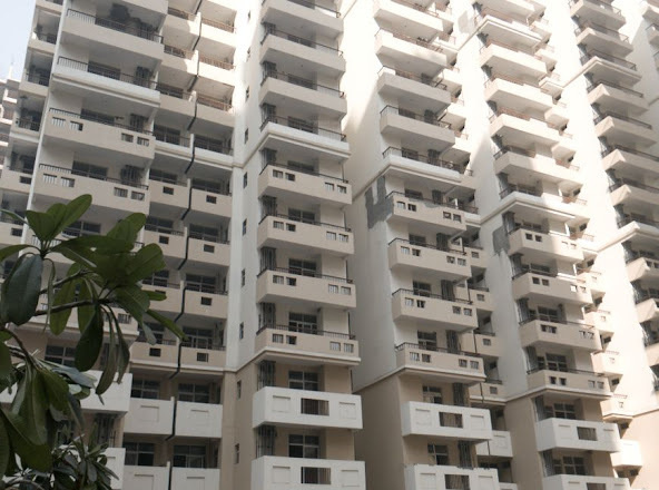  galaxy royale Elevation