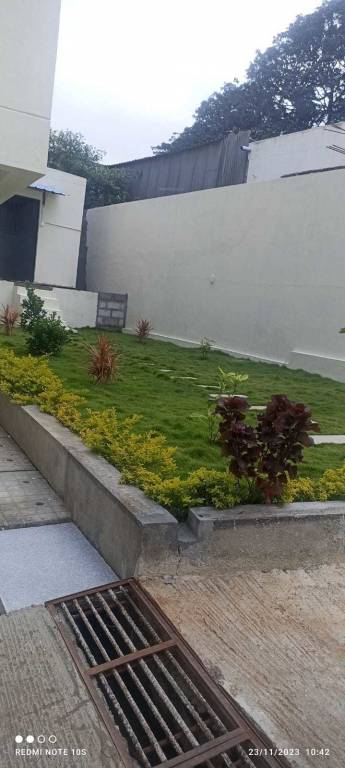  tranquil earth Others