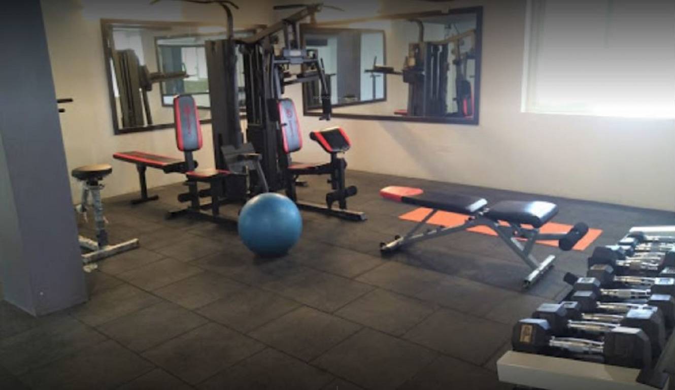  blossom phase ii Gymnasium