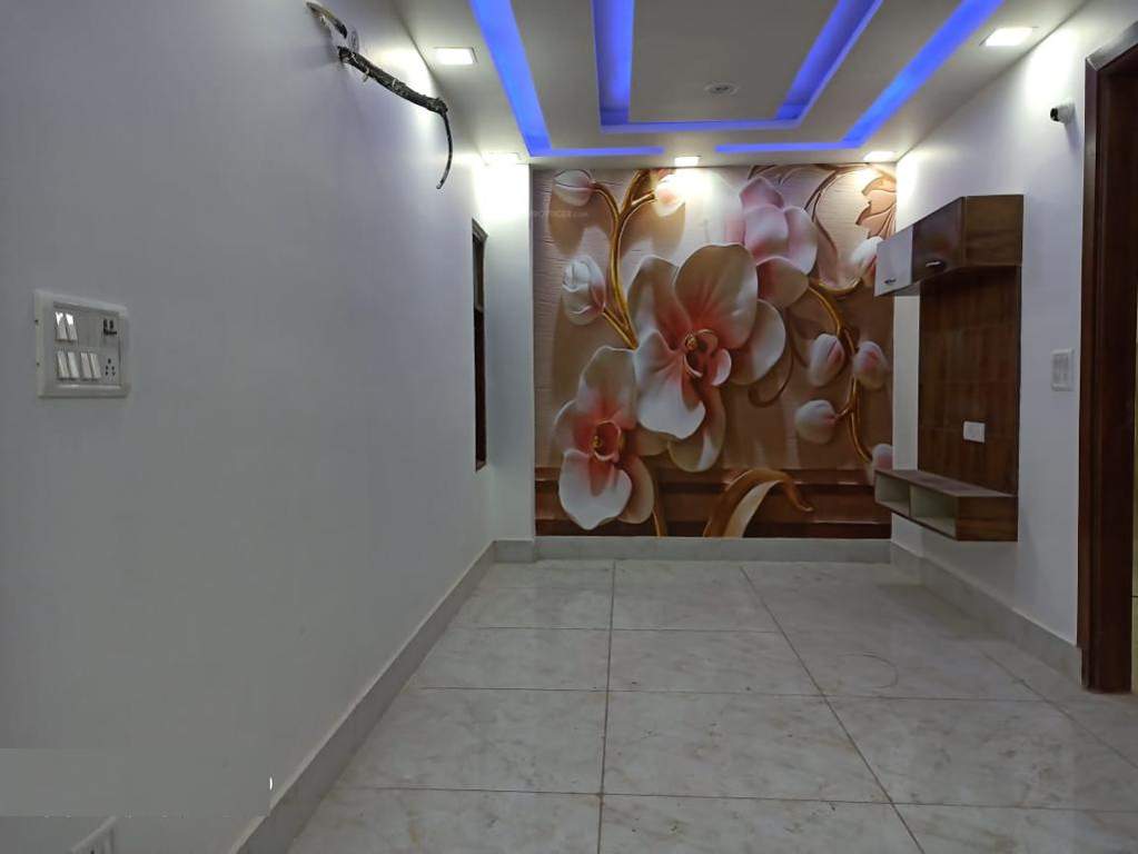 Images for mainOther