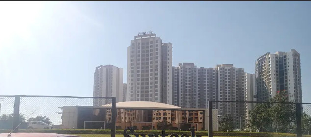  maxx world Elevation