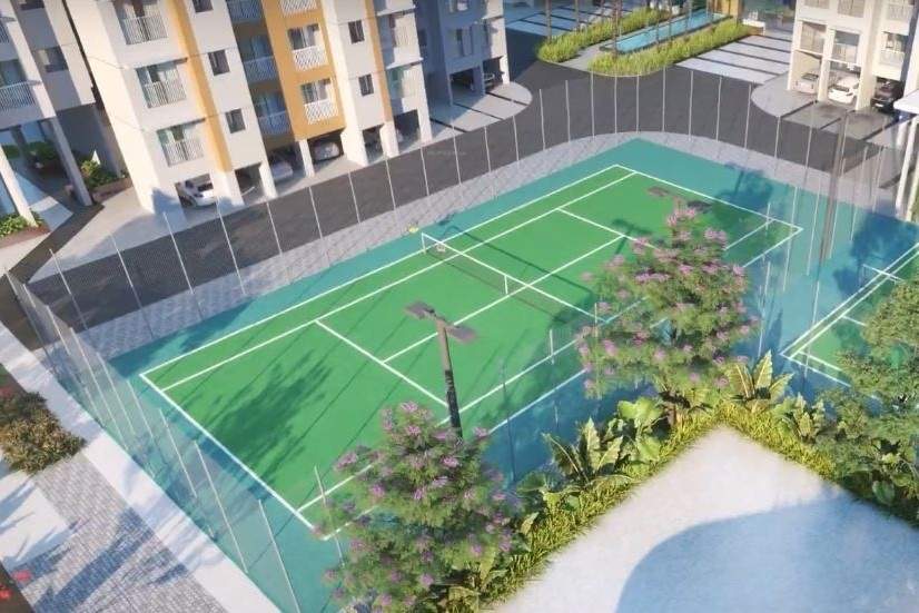  maxx world Lawn Tennis Court