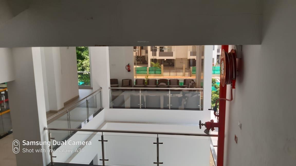  shiv brighton phase iv Others