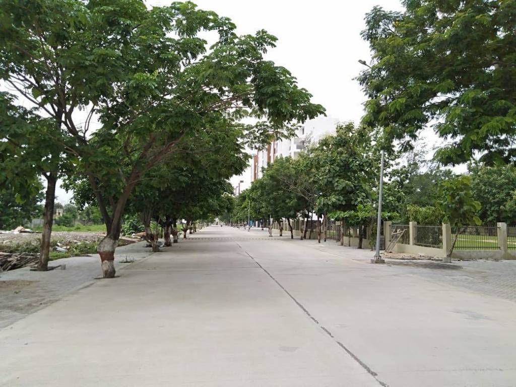  shiv brighton phase iv Others