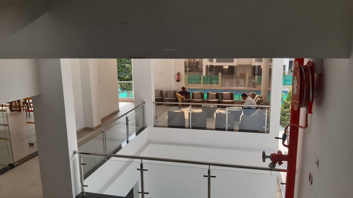  shiv brighton phase iv Others