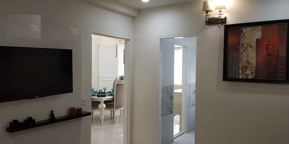 Images for mainOther