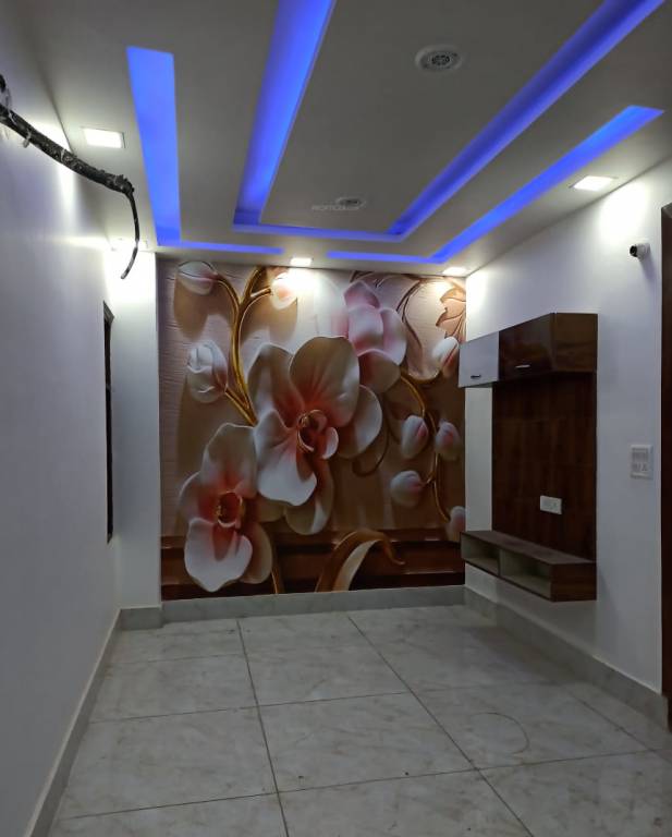 Images for mainOther