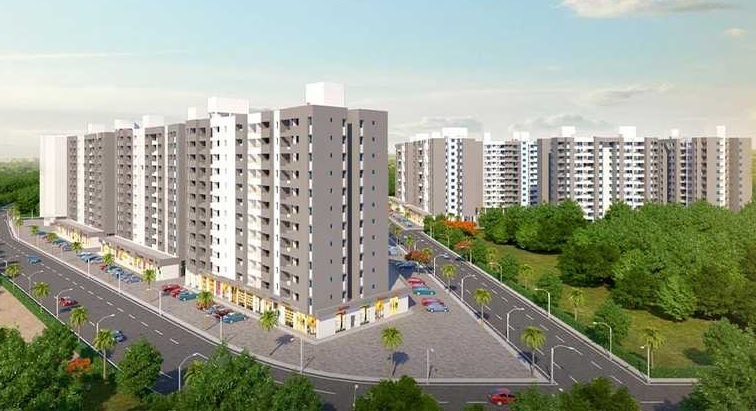  magic phase 6 Elevation