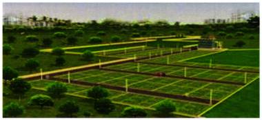 Elevation siddheshwari-plotting Elevation