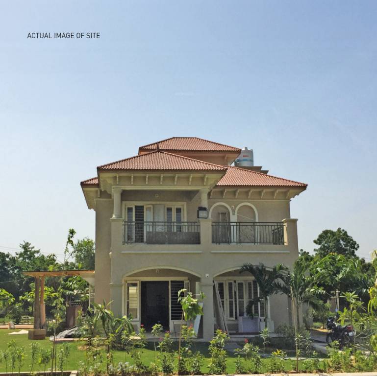  param green Elevation