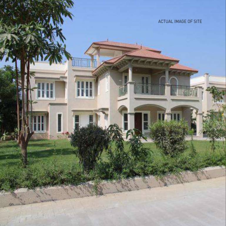  param green Elevation