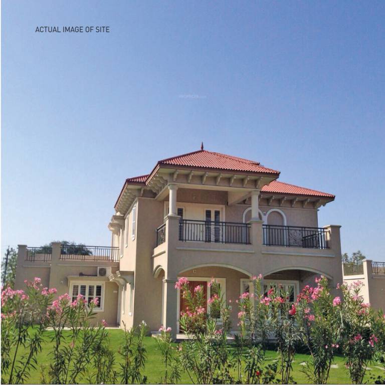  param green Elevation