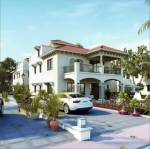  param-green Images for Project