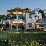  param-green Images for Project